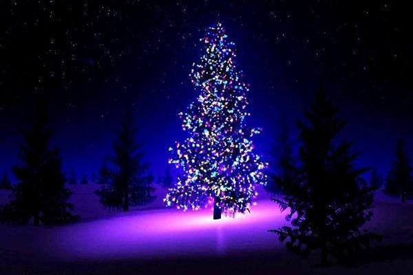La navidad
