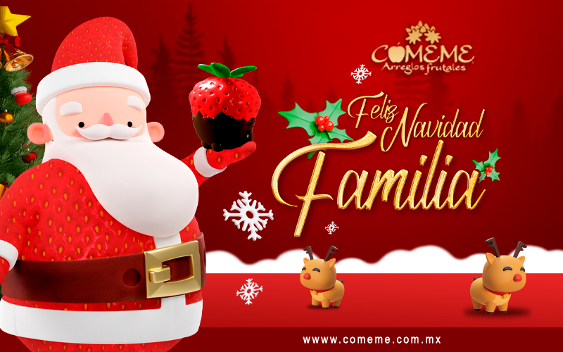 ¡Feliz Navidad y próspero año nuevo!