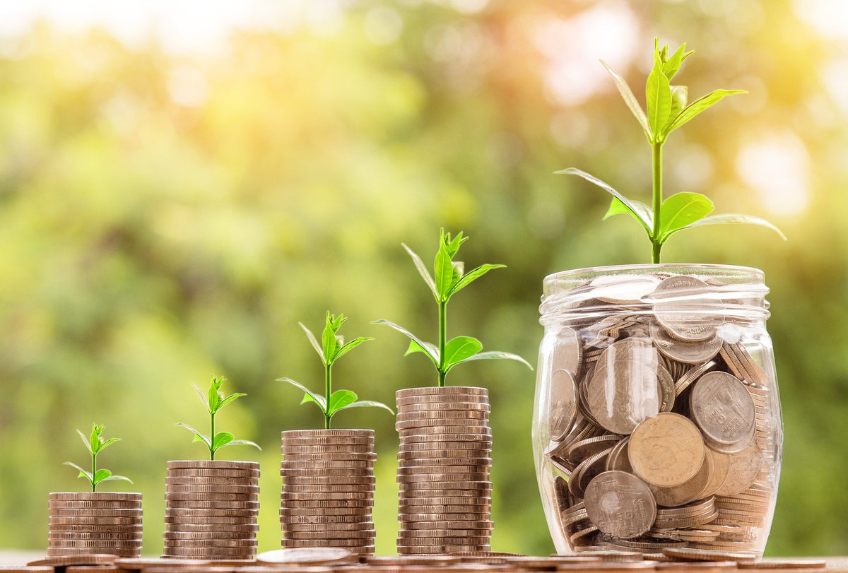 Cinco razones para emprender un negocio