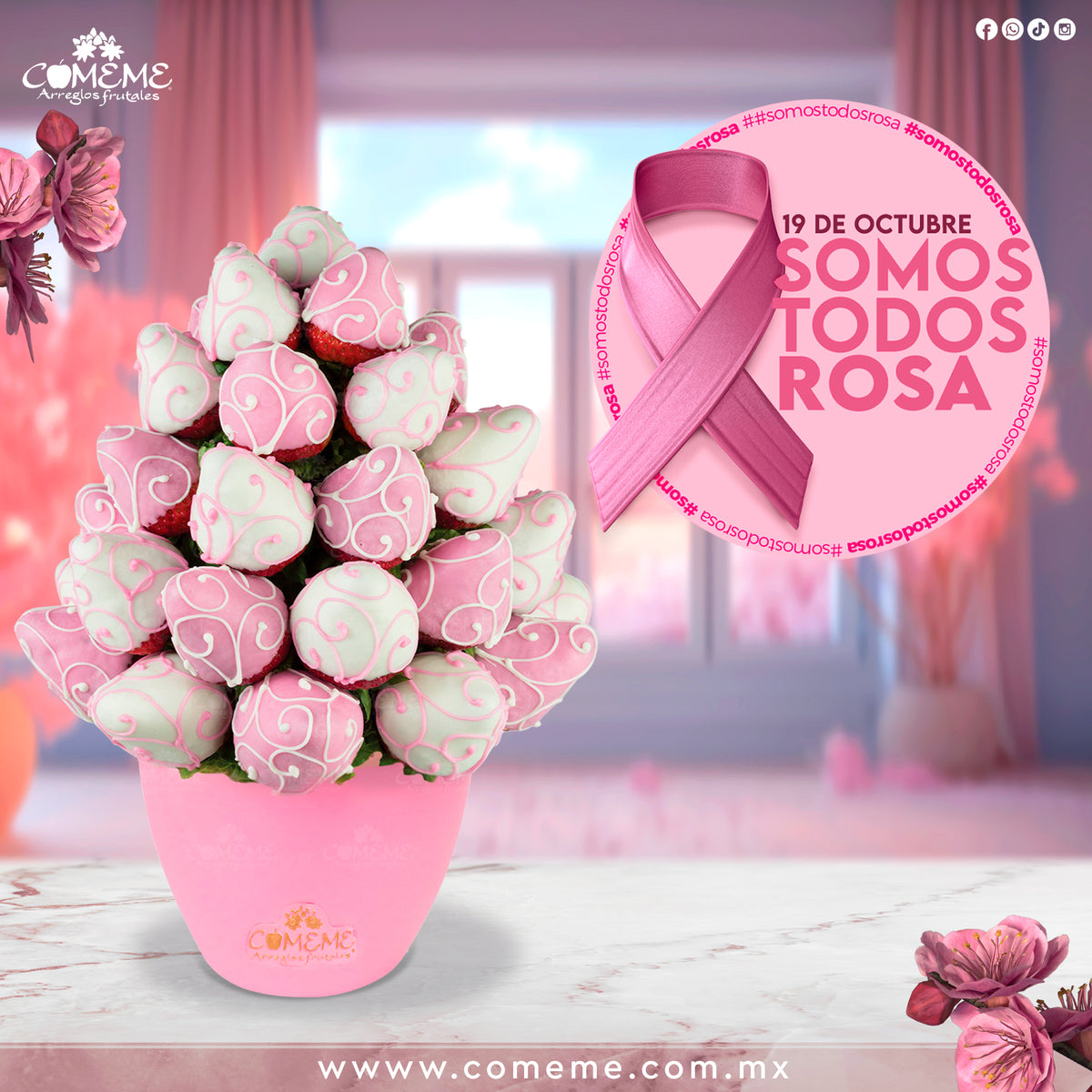 Octubre: Somos todos rosa