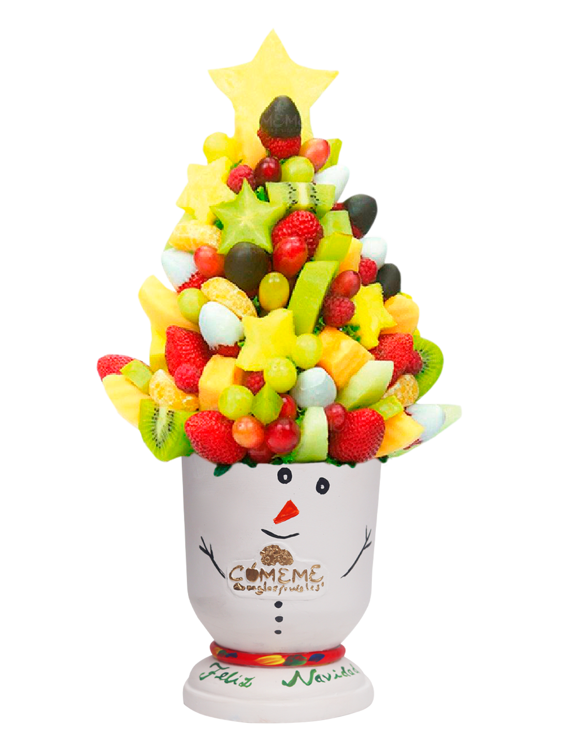 Pino Navidad